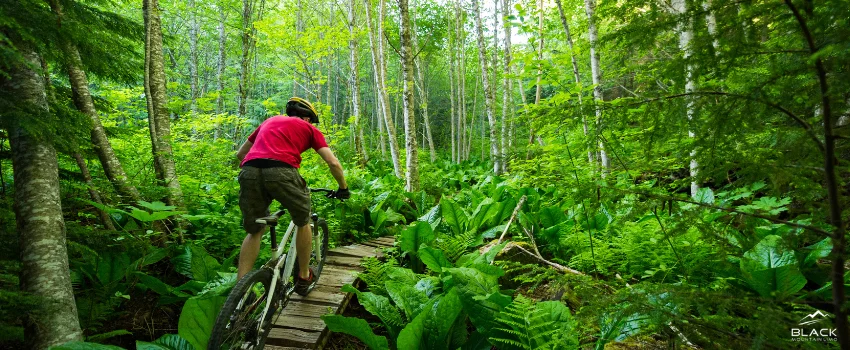 A cyclist on a mountain trail.