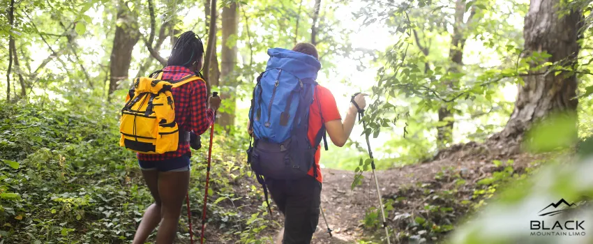 BML - Two Friends Hiking