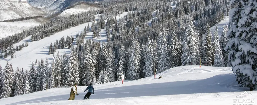 Skier at Snowy Mountain Ski Park.