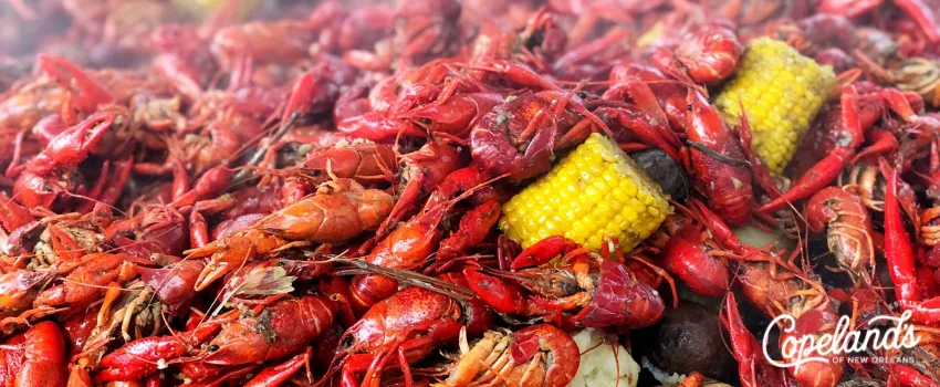 JDC - A Large Heap of Crawfish Boil