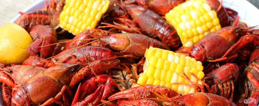 Jacksonville-Crawfish Boil